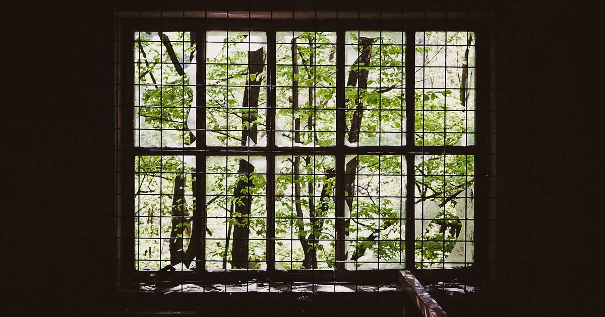 How to Find the Best Dispensary Near Me: A Reno Delivery Guide